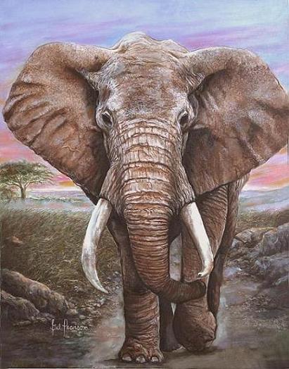 View more Wildlife